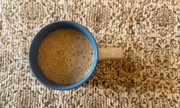 reishi mocha collagen latte
