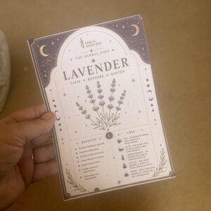 The Herbal Post: Lavender